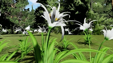 Beautiful flower in the Field Stock Footage 338400067