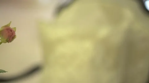 Beautiful flower Stock Footage 41812877