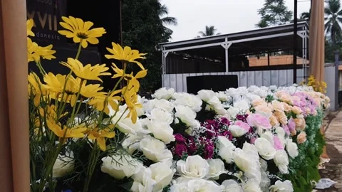 Beautiful flower Stock Footage 205437196