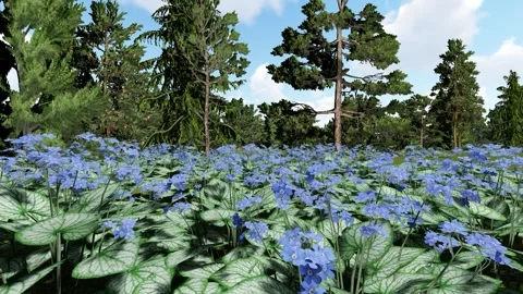 Beautiful flower Stock Footage 338403916