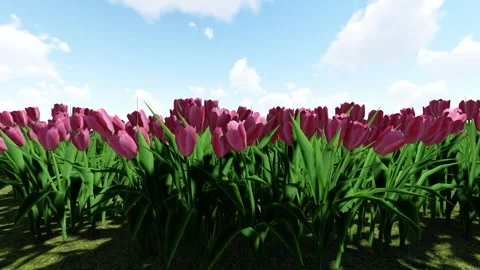Beautiful Flower Garden Stock Footage 338127006