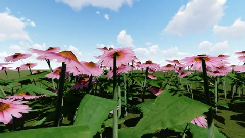 Beautiful flower in the Garden Stock Footage 339086792