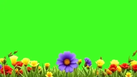 Beautiful Flower Garden Lower Third Border on Green Screen Background Stock Footage 336713217
