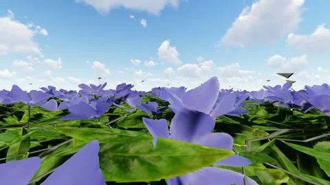 Beautiful flower with Green Leaf Stock Footage 339097142