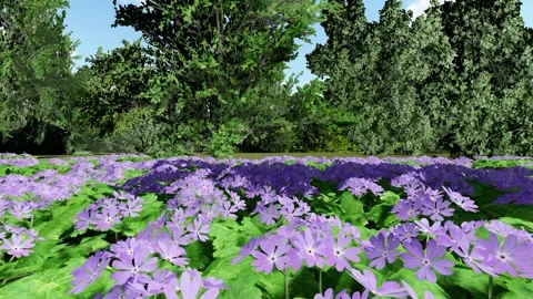Beautiful flower with Green Tree Stock Footage 338402938