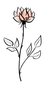 Beautiful flower Stock Illustration