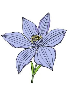 Beautiful flower. Illustrazione stock