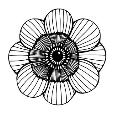 Beautiful flower isolated Illustrazione stock