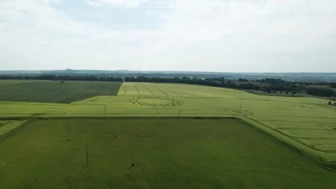 Beautiful Flower Pattern in Farmland Crops, Aerial View with Copy Space Stock Footage 248681850
