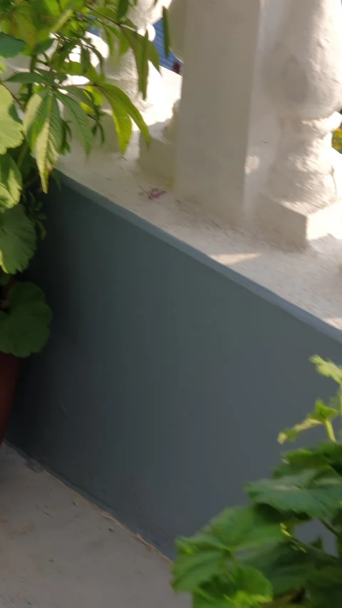 Beautiful flower pots elegantly displayed on a cozy balcony space in Pokhara Stock Footage 302515452