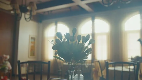 Beautiful Flower on The Table Stock Footage 160092772