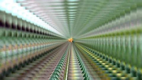 Beautiful flower with trail basic Stock Footage 77492979