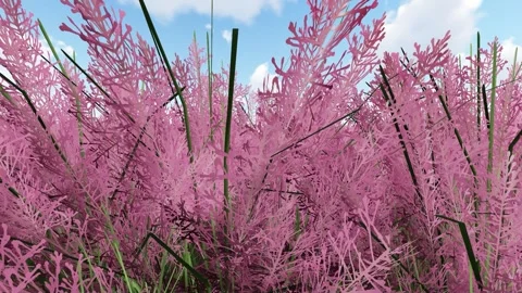 Beautiful flower with tree Stock Footage 338181429