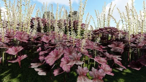 Beautiful flower with Wave Stock Footage 337295504