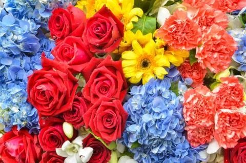 Beautiful flowers background Stock Photos