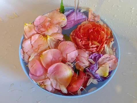 Beautiful flowers composition Stock Photos