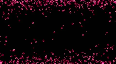 Beautiful flowers fall down and up.  Pink flowers Stockbeeldmateriaal 62419957