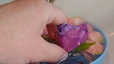 Beautiful flowers Stock-Footage 315695864