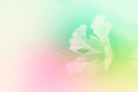 Beautiful flowers Stock Illustration