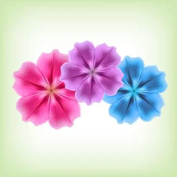 Beautiful flowers Stock Illustration