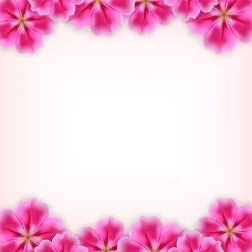 Beautiful flowers Stock Illustration