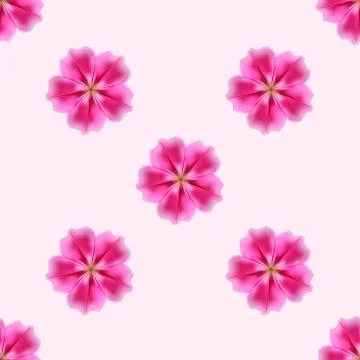 Beautiful flowers Illustrazione stock