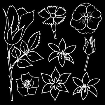 Beautiful flowers 스톡 일러스트