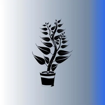 Beautiful flowers leaf tree white and blue background Stock Illustration