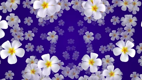 Beautiful flowers wallpaper background loop animated Видео 331011063