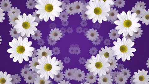 Beautiful flowers wallpaper background loop animated Video stock 331011066