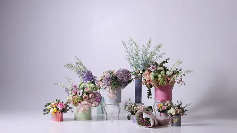 Beautiful flowers on a white background Stock Footage 236509952