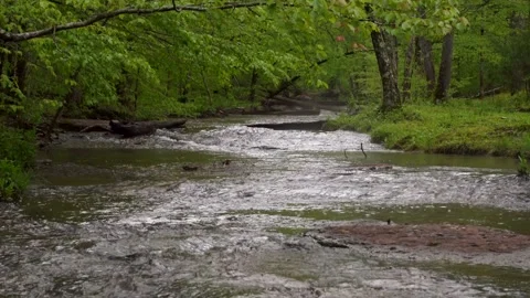 Beautiful flowing creek in Spring Stock Footage 239188061