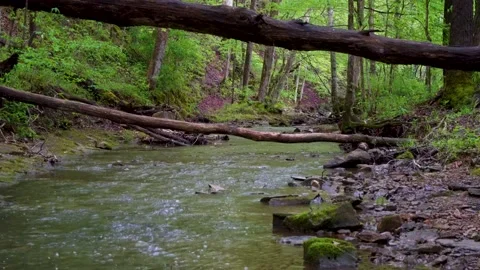 Beautiful flowing creek in Spring Stock Footage 239267857