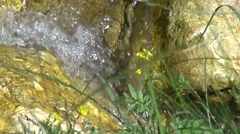 Beautiful flowing mountain spring water, wild nature, stream, little river Stock Footage 30349529