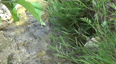 Beautiful flowing mountain spring water, wild nature, stream, little river Stock Footage 30350326