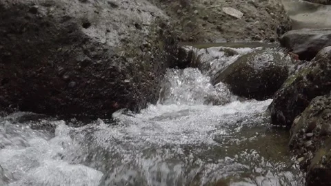 Beautiful flowing river Stock Footage 239713909