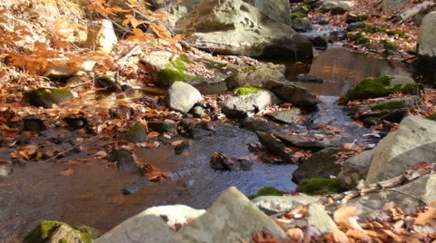 A beautiful flowing stream in Autumn. 4K. UHD. Stock Footage 43496219