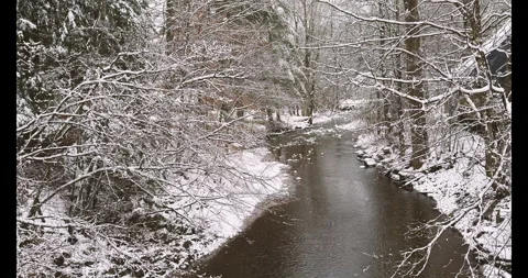 Beautiful flowing stream on a snowy winter morning Stock Footage 293819084