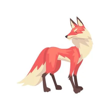 Beautiful Fluffy Red Fox Character Cartoon Vector Illustration Stock Illustration