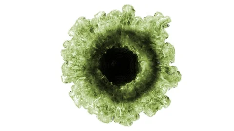 Beautiful fluid smoke ring for logo and fx 2 in 1 Stock Footage 108488779