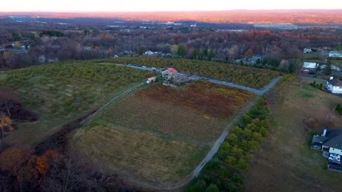 A beautiful fly over video of a vineyard - winery in Upstate New York. Stock Footage 293036626