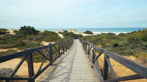 Beautiful footpath to the beach in Spain (Andalusia) in the dunes Stock Footage 198342853