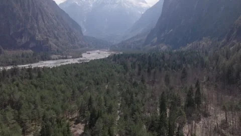 A Beautiful Forest in The Alps Stock Footage 246739187