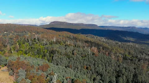 Beautiful forest and distant mountains Stock Footage 154523839