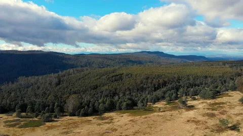 Beautiful forest and distant mountains Stock Footage 154524387