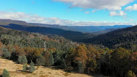 Beautiful forest and distant mountains Stock Footage 154525433