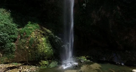 Beautiful forest and waterfall background Stock Footage 127707105