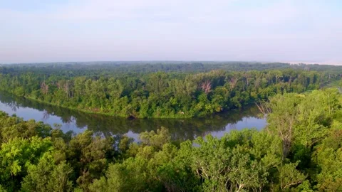 Beautiful forest area, the rays of the sun shine through the dense foliage of Stock Footage 156981367