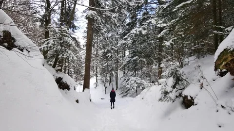 Beautiful forest covered in snow. Winter in Europe. Girl walking in the wooods Stock Footage 71358461