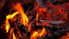 Beautiful Forest Fire Flames Close Up Sl Stock Video Pond5